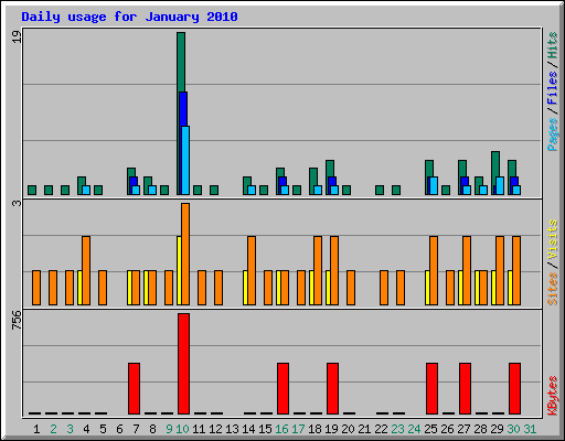 Daily usage for January 2010