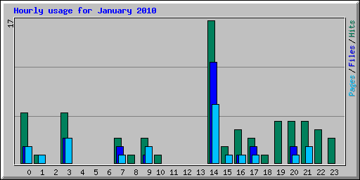 Hourly usage for January 2010